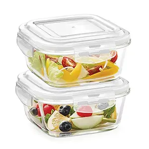 Borosil Containers Combo - KLIP-N-STORE Containers With Lid Set Of 2Glass320ml+320mlClear