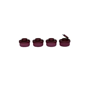 Signoraware Small Spice Shaker Set 40ml Set of 4 Maroon