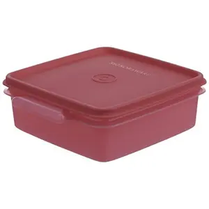Signoraware Easy-to-Carry Small Box 850ml Pink