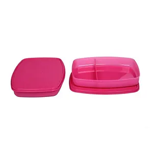 Signoraware Slim Lunch Box Set 610ml Set of 2 Pink