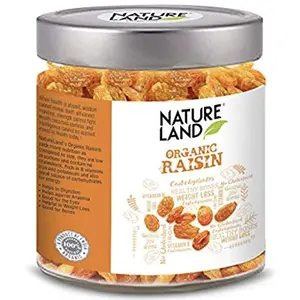 Natureland Organics Raisins / Kismis 250 Gm - Organic Raisins