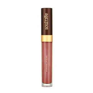SoulTree Ayurvedic Lip Gloss - Nude Pink Colour(202) 5 g