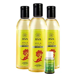 Jiva Amla Oil - 120 ml - Pack of 3 - For All Hair Types Amla Hair Oil for Hair Growth