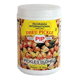 PACHRANGA International PIP Dheu Pickle-800