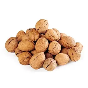 Berries And Nuts Premium Jumbo Walnut Inshell | Akrot Sabit Walnut Inshell Kagzi Akrot Sabit | 800 Grams