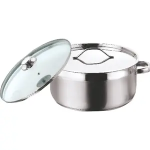 Vinod Stainless Steel Two Tone Saucepot with Glass Lid - 20 cm 3 Ltr (Induction Friendly)