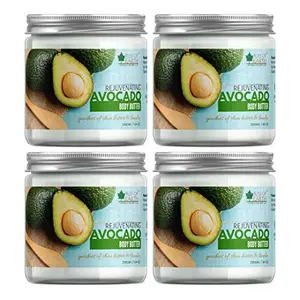 Bliss of Earth Rejuvenating Avocado Body Butter For Tired Looking Skin (4x200GM) Pack Of 4