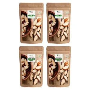 Bliss of Earth Healthy Brazil Nuts Selenium Rich Super Nut Brazil Nuts 200g (Pack of 4x200g)