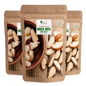 Bliss of Earth Healthy Brazil Nuts Selenium Rich Super Nut Brazil Nuts 200g (Pack of 3x200g)