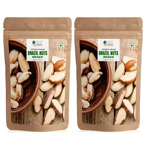Bliss Of Earth Healthy Brazil Nuts Selenium Rich Super Nut 200g (Pack of 2x200g)