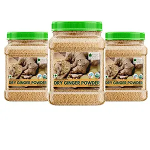 Bliss of Earth Certified Organic Dried Ginger Powder for Tea Pure Antioxidant Super Food3x500GM