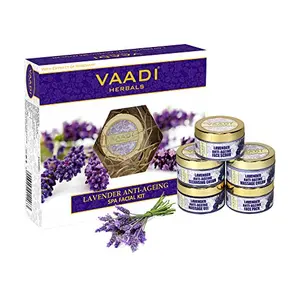 Vaadi Herbals Lavender Anti Ageing Spa Facial Kit with Rosemary Extract 270g