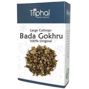 TRIPHAL Bada Gokhru or Large Caltrops | Sorted & Clean | Whole -100Gm