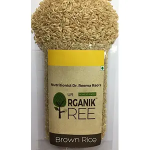 100 % organic Brown Rice / Unpolished Rice 500 Gms (17.64 OZ)