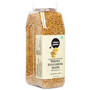 Urban Platter Whole Fenugreek Seeds (Methi Daana) 700 g