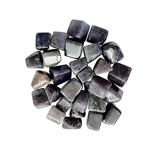 SATYAMANI Crystal Tumble Stones Standard Iolite