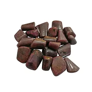 SATYAMANI Crystal Tumble Stones Standard Ruby Kyanite