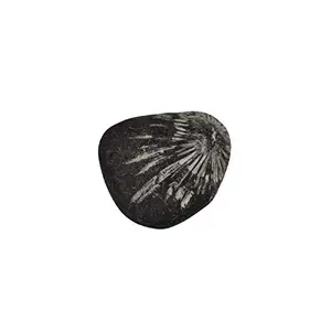 70 Gram Chrysanthemum Mineral Stone Flower Palm Stone Raw NaturalHealing Stone Reiki Pocket Stone