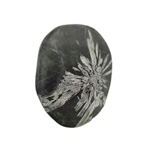 179 Gram Chrysanthemum Mineral Stone Flower Palm Stone Raw NaturalHealing Stone Reiki Pocket Stone