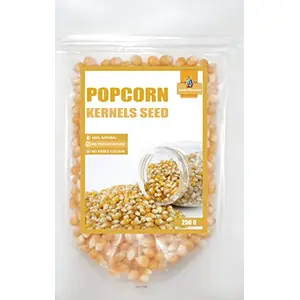 Jioo Organics Pop Corn Kernel Seeds | Popcorn Kernels 250g