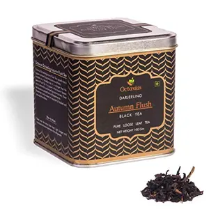Octavius Darjeeling Autumn Flush Whole Leaf Black Tea | Well Balanced Smooth Sweet Fruity Floral Brew | Also Robust & Full Bodied | 100 GMS (50 Cups)