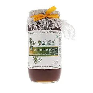 Farm Naturelle-Wild Berry-Sidr-Flower Wild Forest (Jungle) Honey | 100% Pure & Organic Honey, Raw Natural Un-processed - Un-heated Honey | Lab Tested Honey In Glass Bottle-1450gm and a Wooden Spoon.