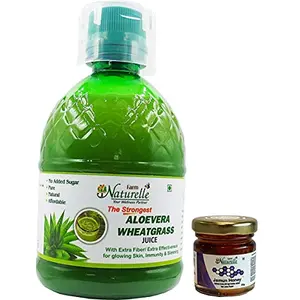Farm Naturelle Aloe Vera Juice 400 ml and Free Jamun Honey 55g x 1
