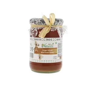 Farm Naturelle-Real Ginger Infused Forest Honey (700 GMS-Glass Bottle)-Immense Value