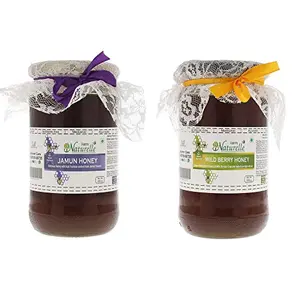 Farm Naturelle Pure Raw Natural Unprocessed Wild Berry (Sidr) Forest Honey and Jamun Forest Honey 815Gms x 2 Jars