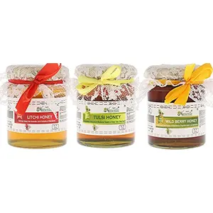 Farm Naturelle-Raw Natural Unprocessed Tulsi Forest Flower Honey & Wild Berry (Sidr) Flower Forest Honey & Litchi Flower Honey (250 Gms x 3) (Ayurved Recommended)-Huge Value Taste and Aphrodisiac combo