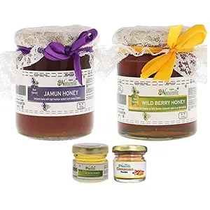 Farm Naturelle 100% Pure Raw Natural Forest Wild Berry (Sidr) Honey & Jamun Flower Honey Combo Pack of 2x250 GMS + Powder for 100 Benefits and 40 GMS of itional Flower Honey