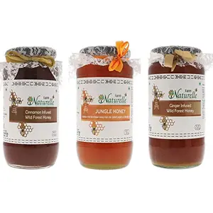Farm Naturelle-Virgin 100% Pure Raw Natural Jungle  & Ginger Infused Forest Honey-(1.45 KG x 3 ) Glass Bottle