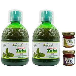 Farm Naturelle (Farm Natural Produce) Tulsi Juice Combo 400Ml 1+1 Free ( Pack of 2) Free Honey 55g x 2