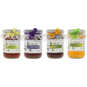 Farm Naturelle-(700 GMS x 4 Variety Package)-Pure Raw and Natural Forest Honey Vana Tulsi Jamun  Acacia Wild Berry (Sidr) Forest Honey.