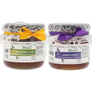 Farm Naturelle-100% Pure Raw Natural Wild Berry (Sidr) Honey and Jamun Honey Combo (2X450Gms)