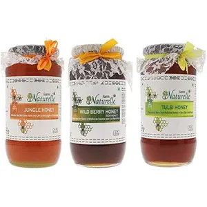 Farm Naturelle-Virgin 100% Pure Raw Natural Wild Berry-Sidr  Jungle & Tulsi Flower Forest Honey-(1.45 KG x 3 ) Glass Bottle