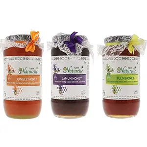 Farm Naturelle-Virgin 100% Pure Raw Natural Jamun  Jungle & Tulsi Flower Forest Honey-(1.45 KG x 3) Glass Bottle