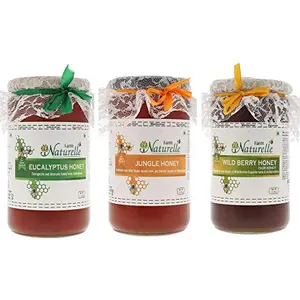 Farm Naturelle-Virgin 100% Pure Raw Natural Wild Berry-Sidr  Eucalyptus & Jungle Flower Forest Honey-(1 KG x 3 ) Glass Bottle