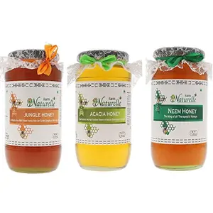 Farm Naturelle-Virgin 100% Pure Raw Natural Jungle  Acacia & Neem Flower Forest Honey-(1.45 KG x 3 ) Glass Bottle
