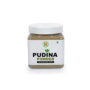 Nature Vit Pudina Powder for Food 250gm [Mint Leaf]