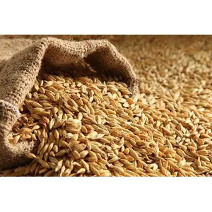 Nature Vit Jau - 1 Kg [Raw Barley Seeds]