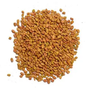 Devbhoomi Naturals Fenugreek Seeds/Methi 100% Pure and Natural Without Any Pesticides harvested from Uttarakhand. 300gm