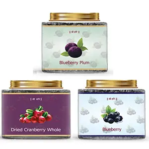 Dry Fruits Blueberry Dried Cranberry Whole Blueberry Plum 750g (Each 250g) | Agri Club