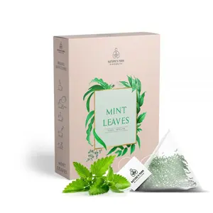 Mint Leaves Herbal Infusion (Pyramid Infusion Bags-5)