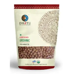 Dhatu Organics Peanuts 500g