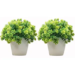 PUHUHP Artificial Beautiful Cute Mini Flower Plants with Pot Plastic Green Mix Grass Fake Topiaries Shrubs for Home Decor Washroom and Office Decor Christmas Diwali and Festive Decoration Set of Two