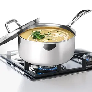 Milton Pro Cook Triply Stainless Steel Sauce Pan with Lid 18 cm / 2.2 Litre