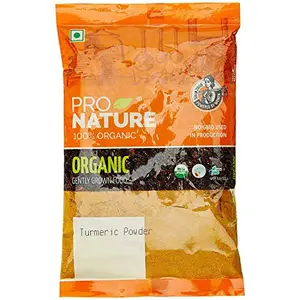 Pro Nature 100% Organic Turmeric Powder 100 g