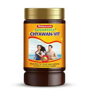 Baidyanath Chyawan-Fit Sugarfree -500 gm