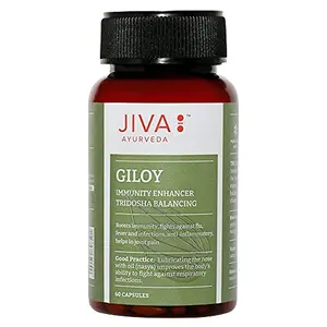 Jiva Giloy Capsule - 60 Capsules - Pack of 1 - Pure Herbs Used 2X Concentrated Giloy Immunity Booster for Overall Health